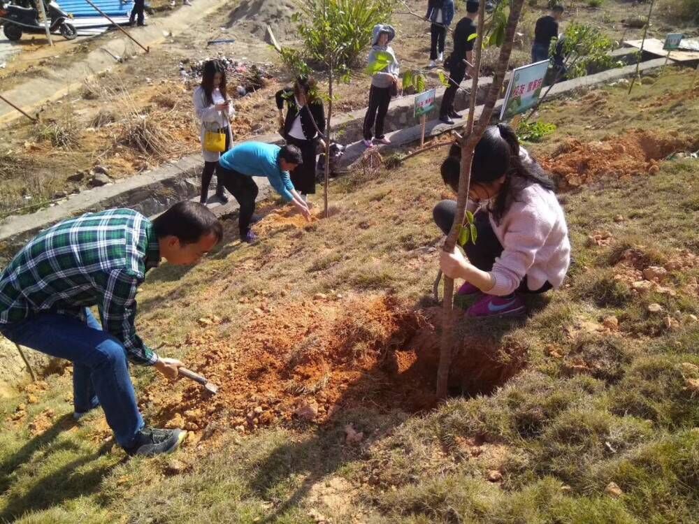 QQ图片20180408085903.jpg