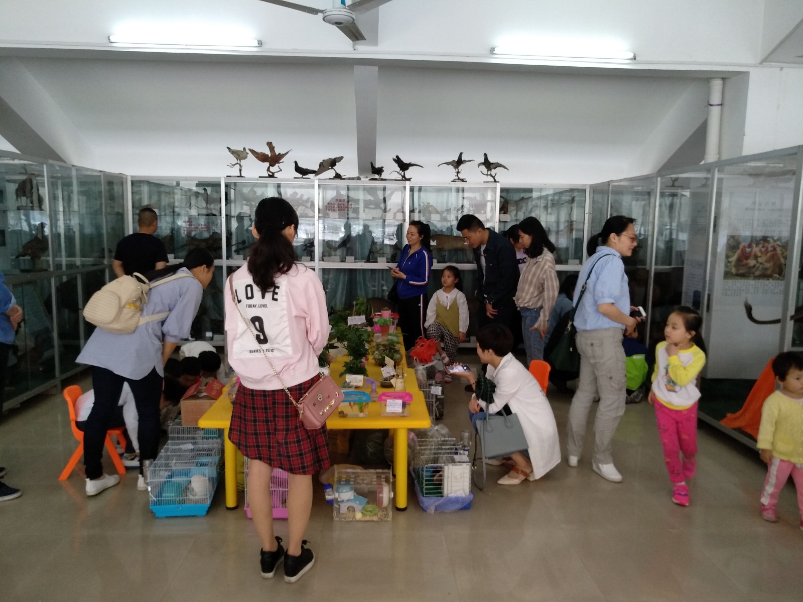 IMG_20180505_093334_看图王.jpg