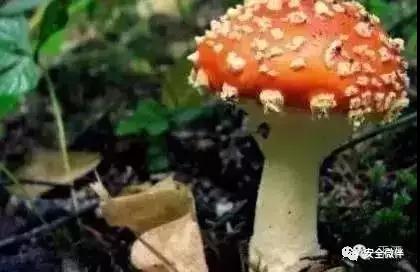 微信图片5.jpg