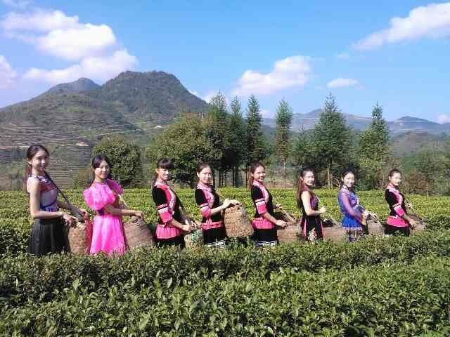 图18.jpg