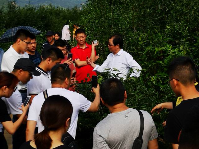图3 潘玉华教授教学现场.jpg 图3 潘玉华教授教学现场.jpg
