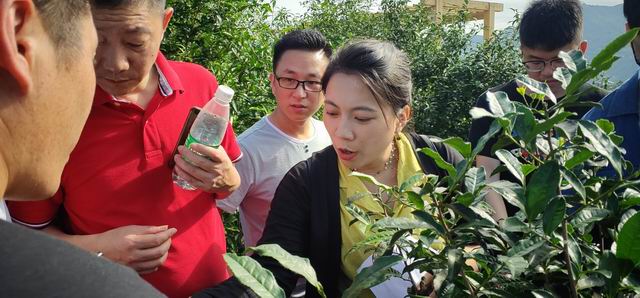 图5 陈静老师教学现场.jpg 图5 陈静老师教学现场.jpg