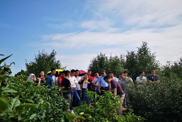 图6 陈静老师教学现场.jpg 图6 陈静老师教学现场.jpg