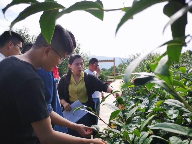 图7 陈静老师教学现场.jpg 图7 陈静老师教学现场.jpg
