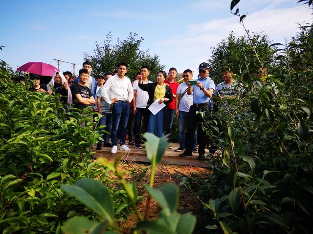 图8 陈静老师教学现场.jpg 图8 陈静老师教学现场.jpg