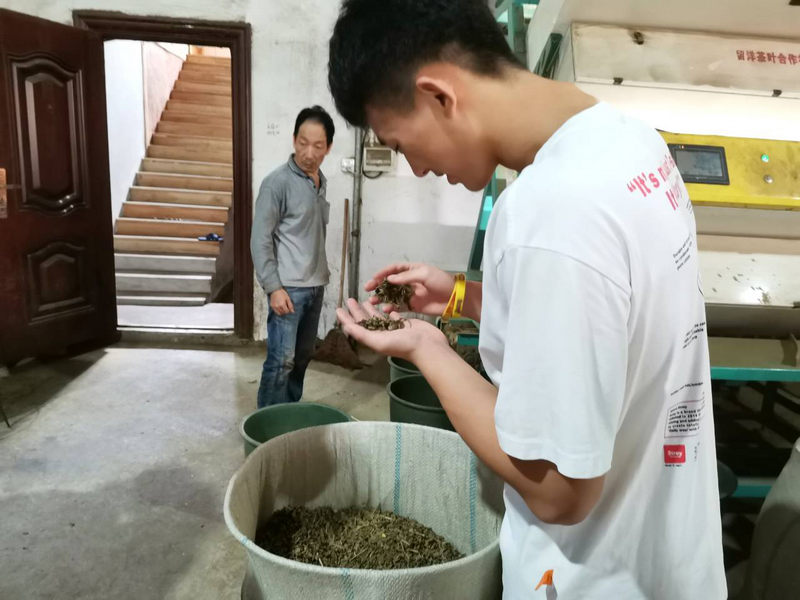 图片8_调整大小.png
