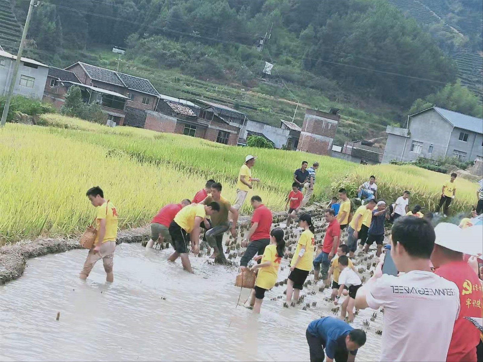 图6.jpg