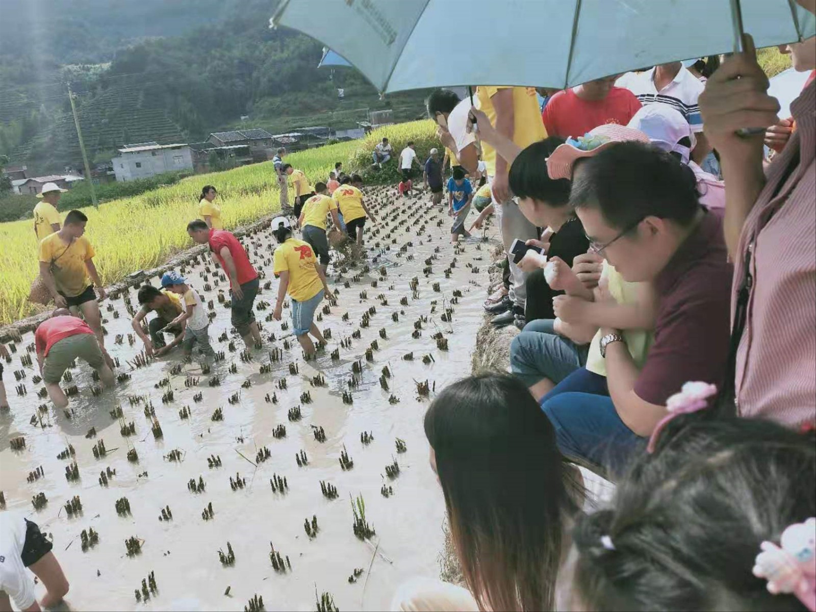 图7.jpg