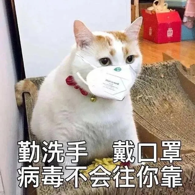 1.webp.jpg