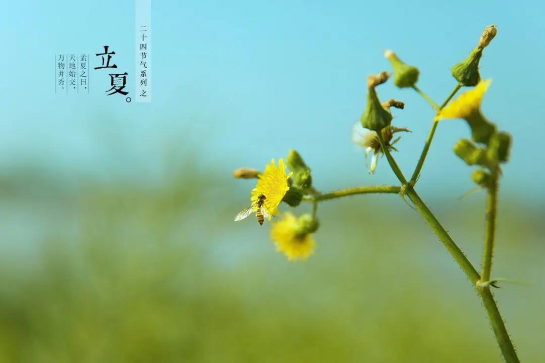 微信图片_20200507183619.jpg
