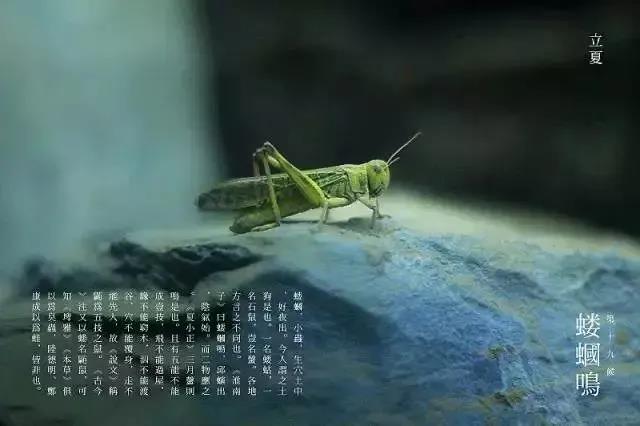 微信图片_20200507183633.jpg