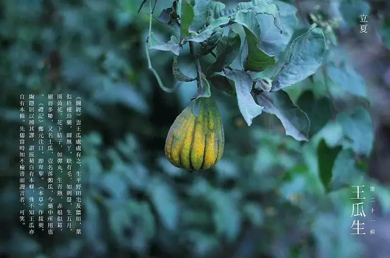 微信图片_20200507183641.jpg