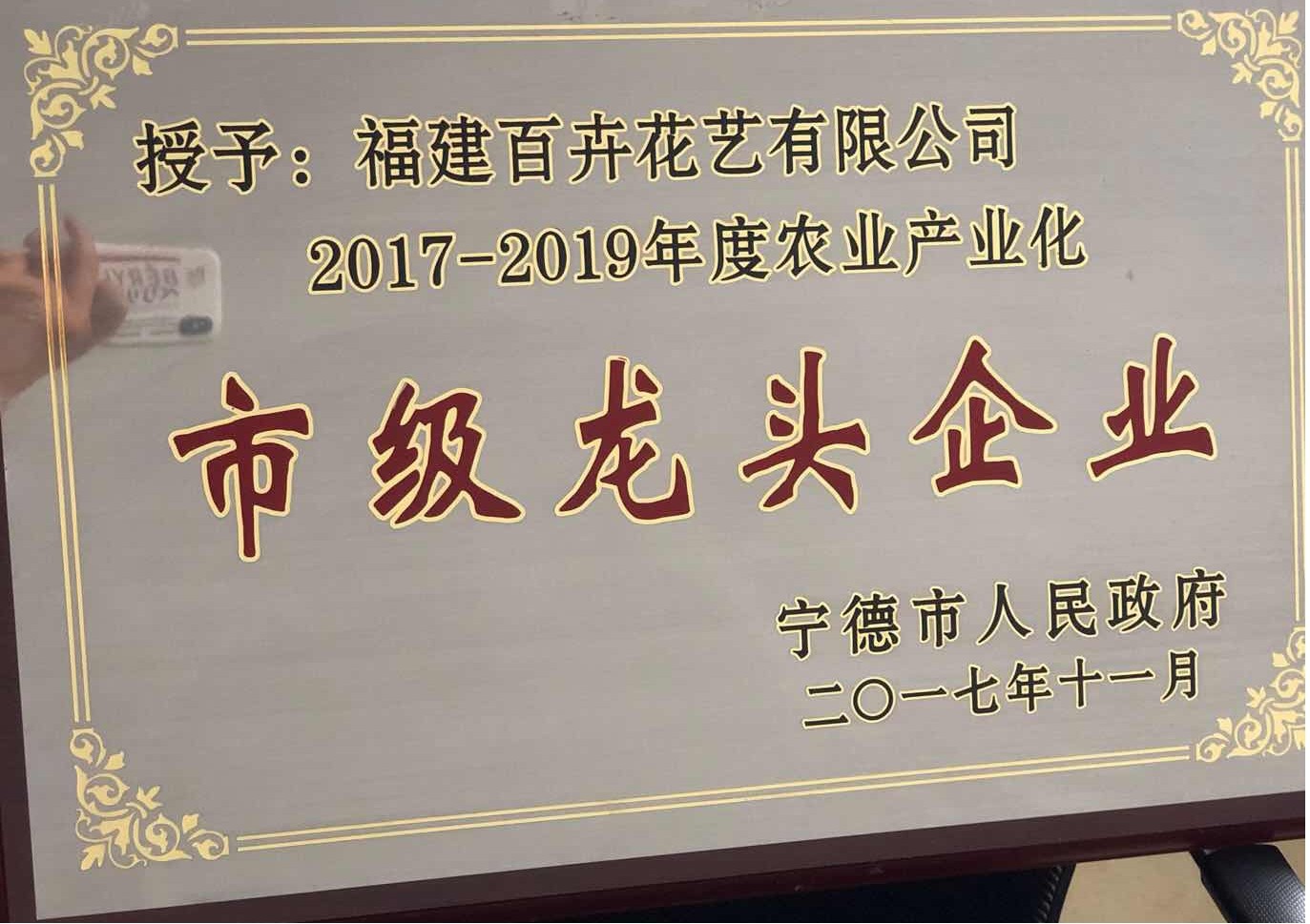 图片16福建百卉花艺有限公司宁德市农业产业化市级龙头企业.jpg