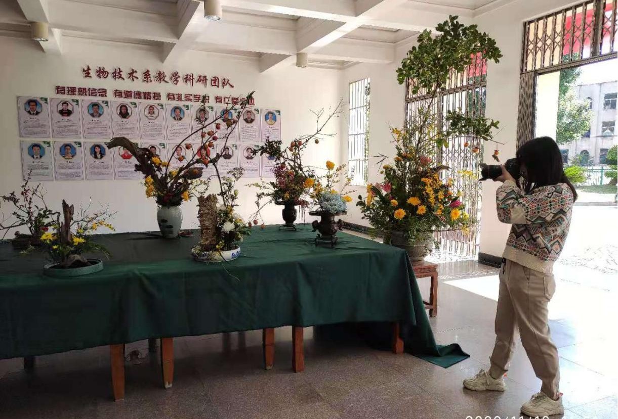 图片11生物技术系一楼中国传统插花作品展(拍摄🙅🏼♀️:叶登舞).jpg