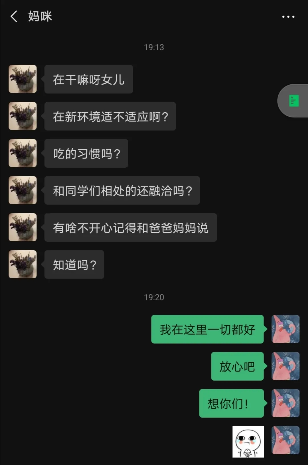 7.webp.jpg