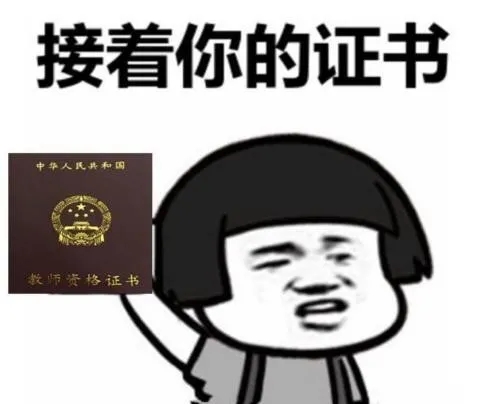 15.webp.jpg