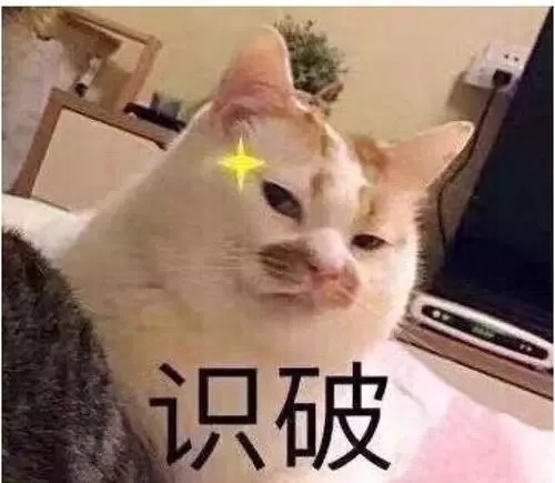 5.webp.jpg 5.webp.jpg