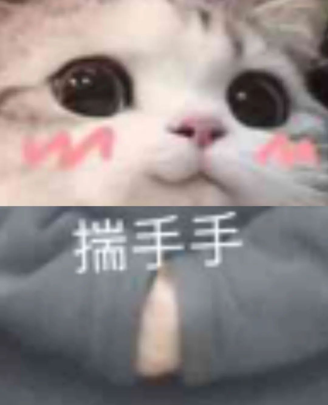5.jpg 5.jpg