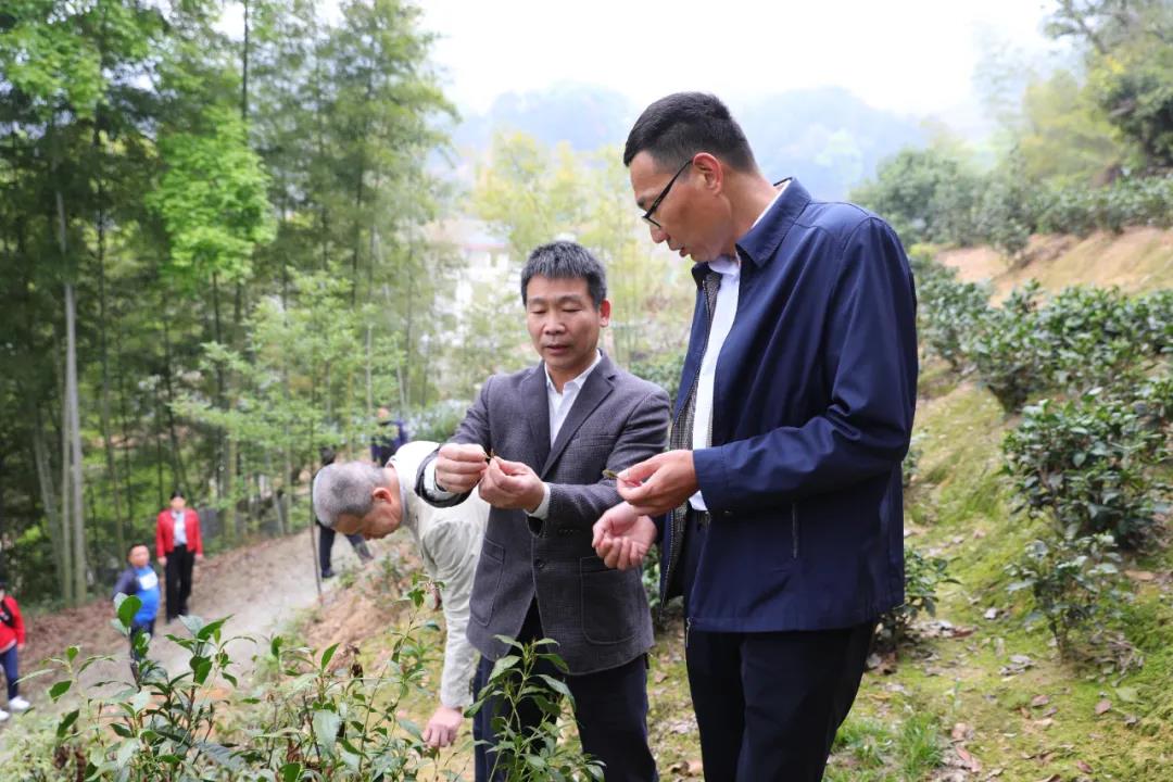 微信图片_20210322172436.jpg 微信图片_20210322172436.jpg