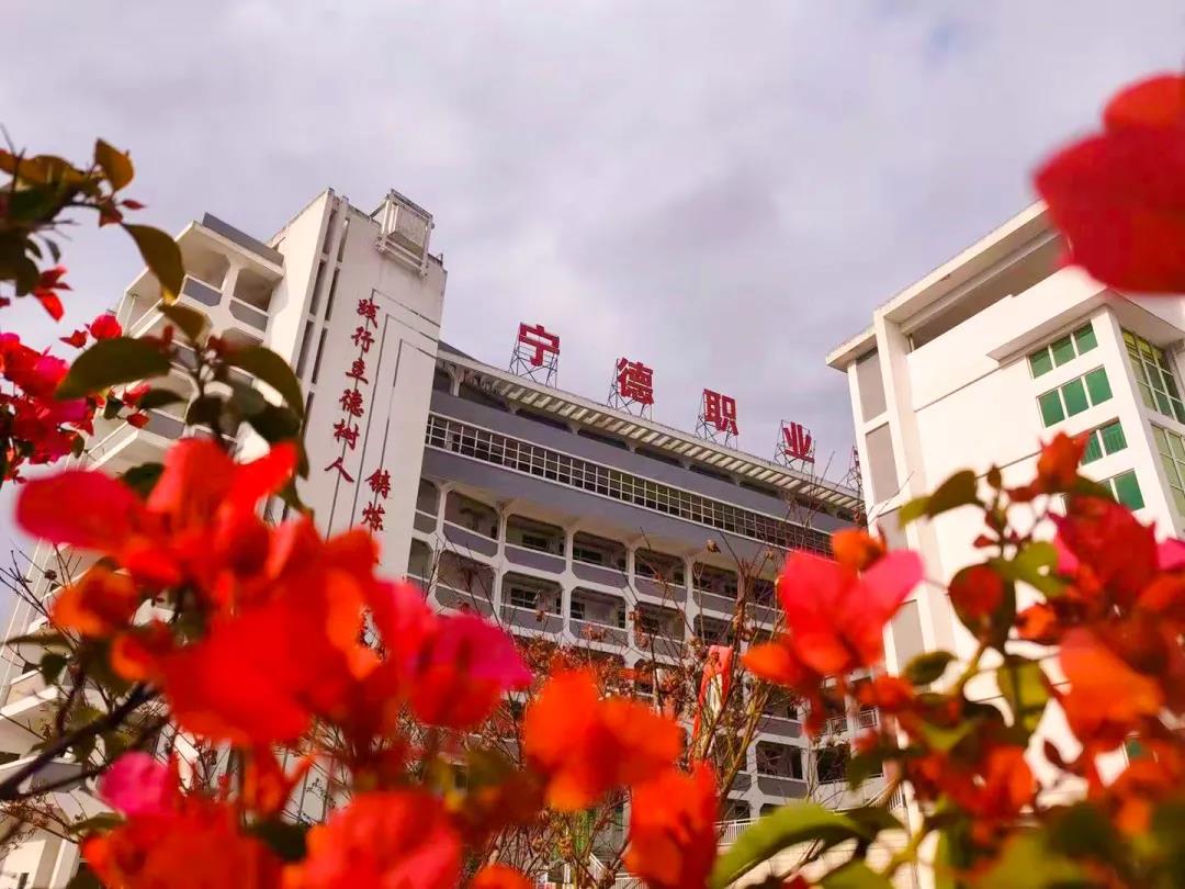 微信图片_20210503184938.jpg 微信图片_20210503184938.jpg