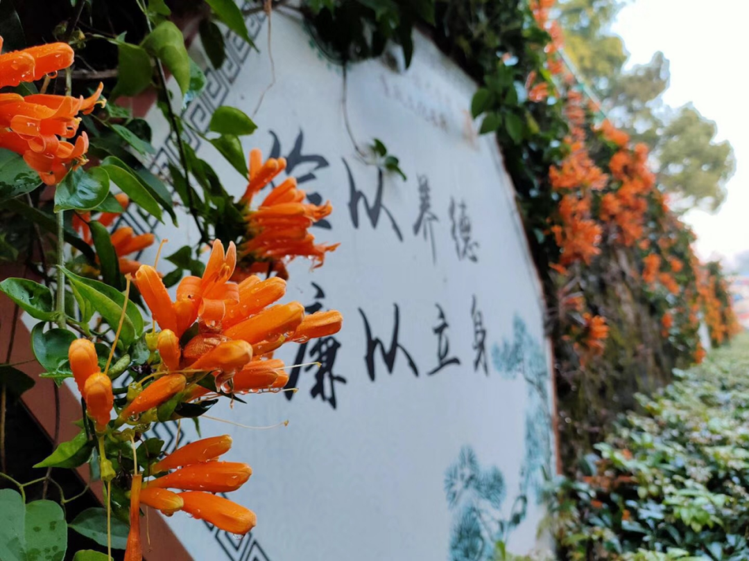 image017.png