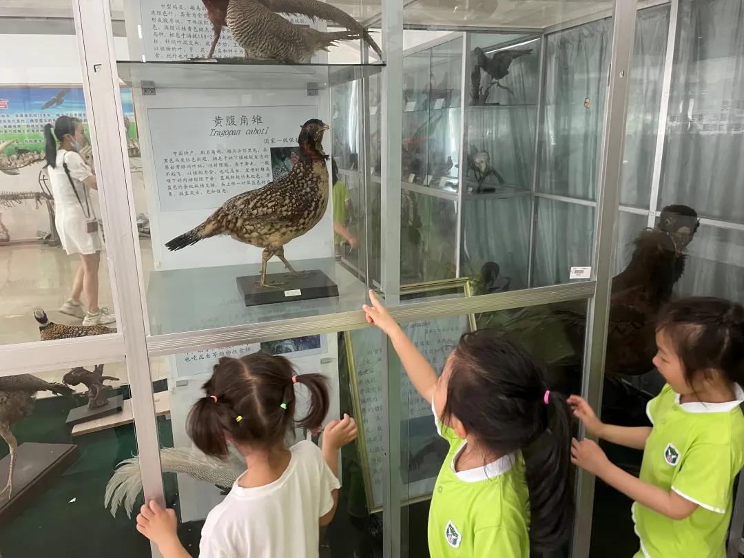 微信图片_20210601195254.jpg 微信图片_20210601195254.jpg