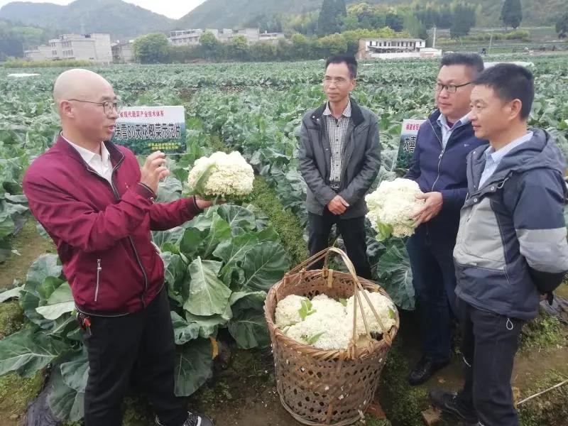 微信图片_20210618121822.jpg