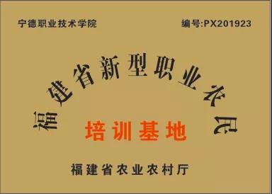 微信图片_20210708111938.jpg