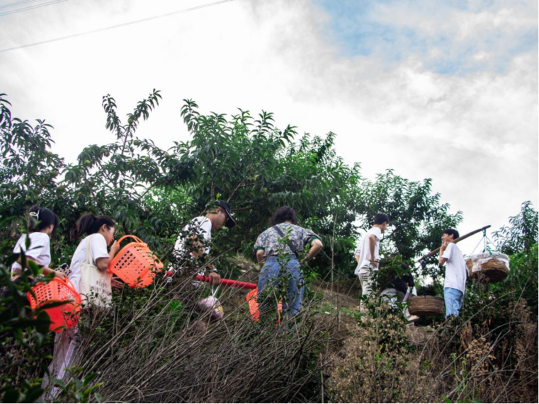 image013.png