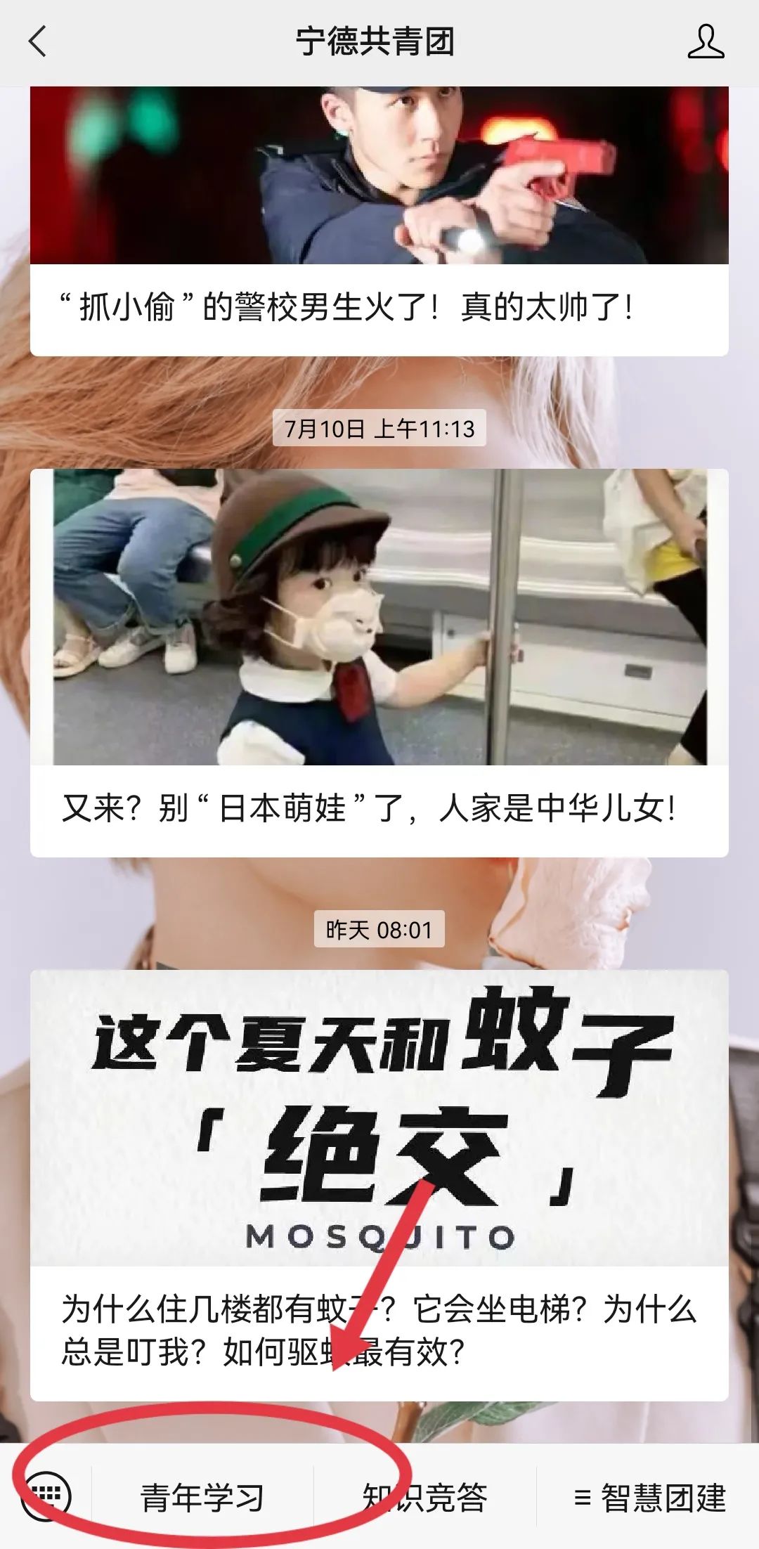 5.jpg