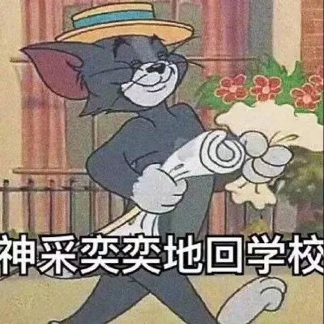 8.jpg 8.jpg