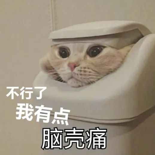 4.jpg 4.jpg