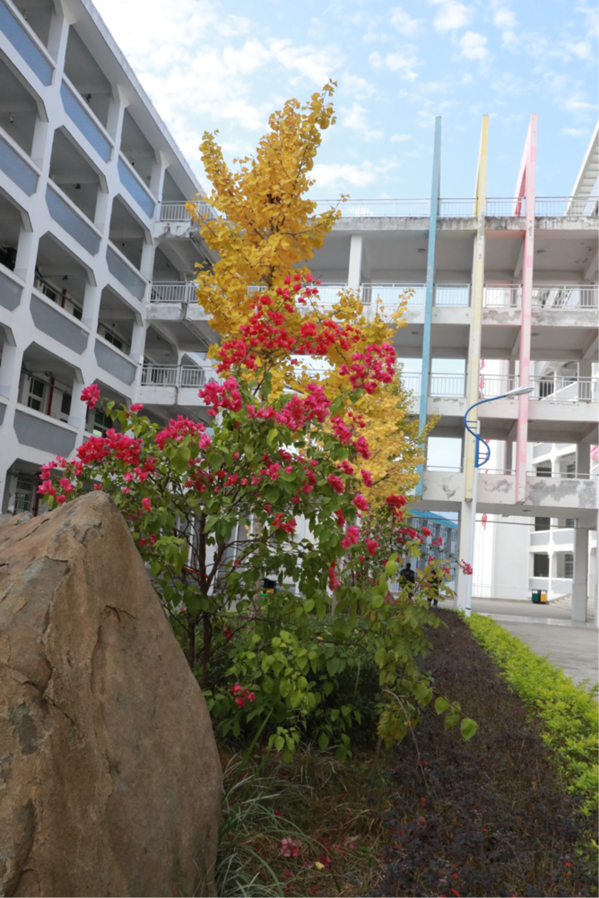 image002.png