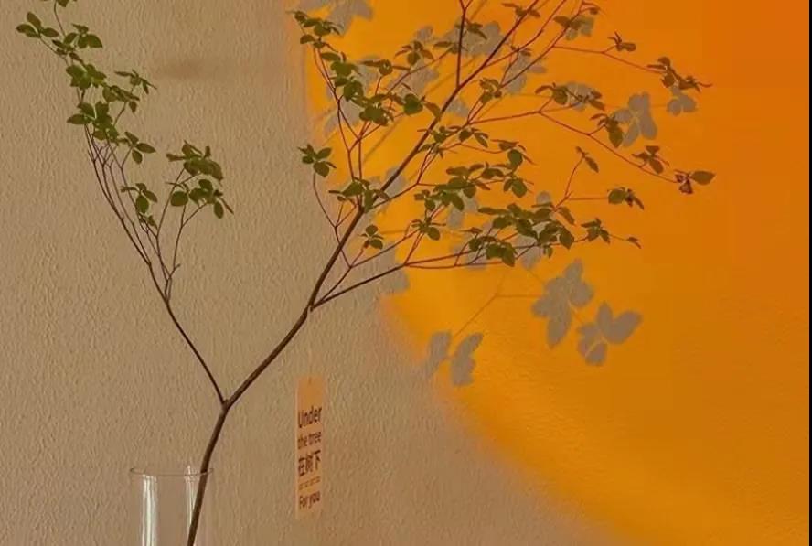 微信图片_20211101211704.jpg 微信图片_20211101211704.jpg
