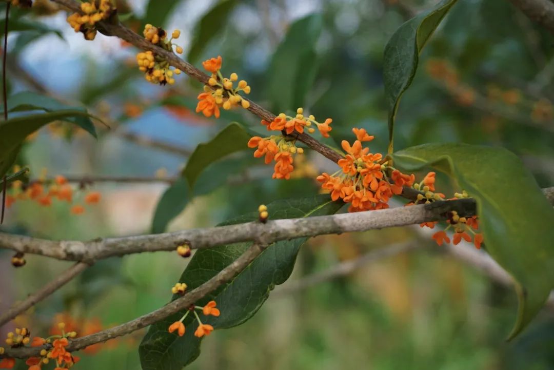 image013.jpg