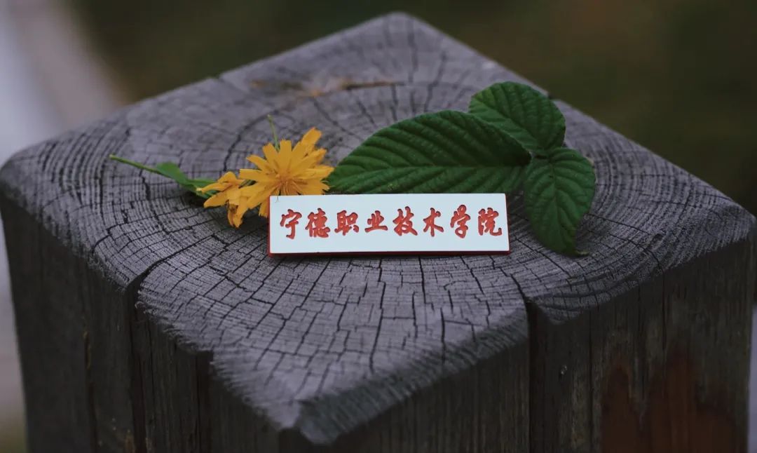 微信图片_20211129225201.jpg