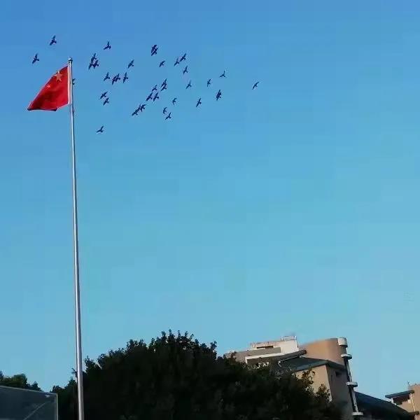微信图片_20211129233903.jpg