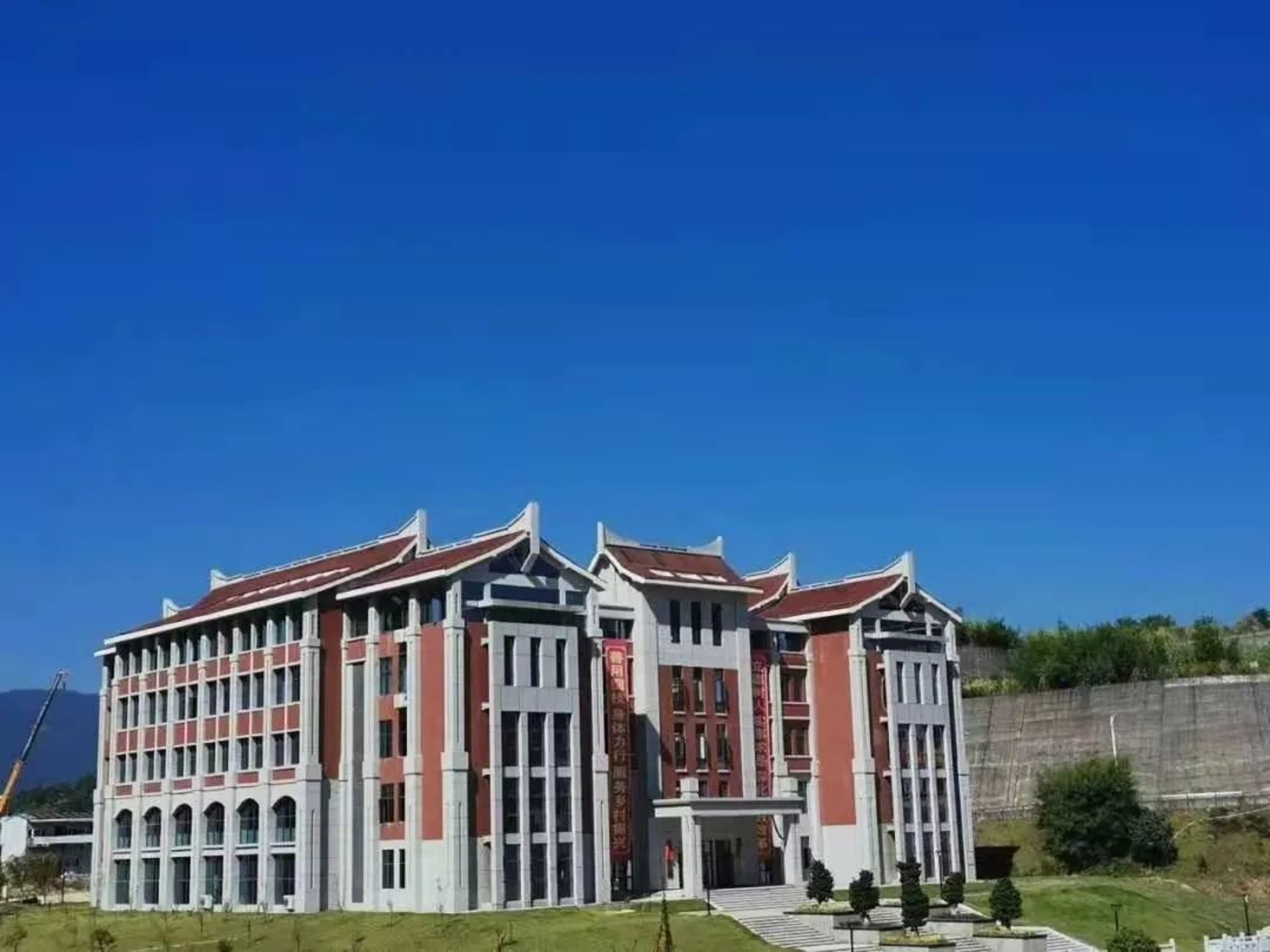 树上的叶子还在随风摇曳465_副本.png