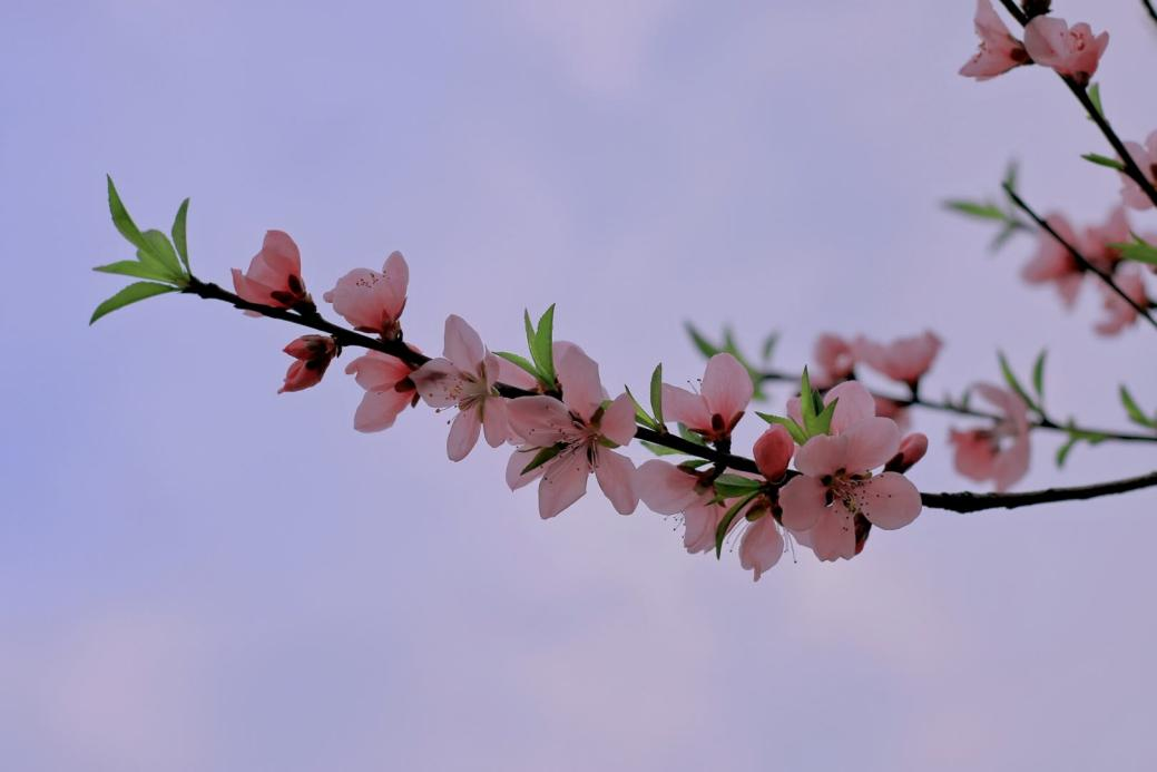 image027.png