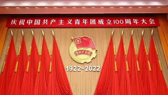 为深入学习贯彻习近平总书记关于职业教育的重要指示精神359.png