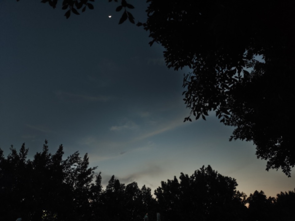8411667376787_.pic.jpg 8411667376787_.pic.jpg