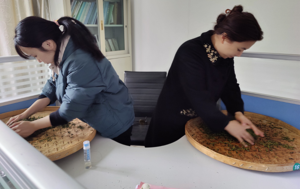 微信图片_20230505111032.png 微信图片_20230505111032.png