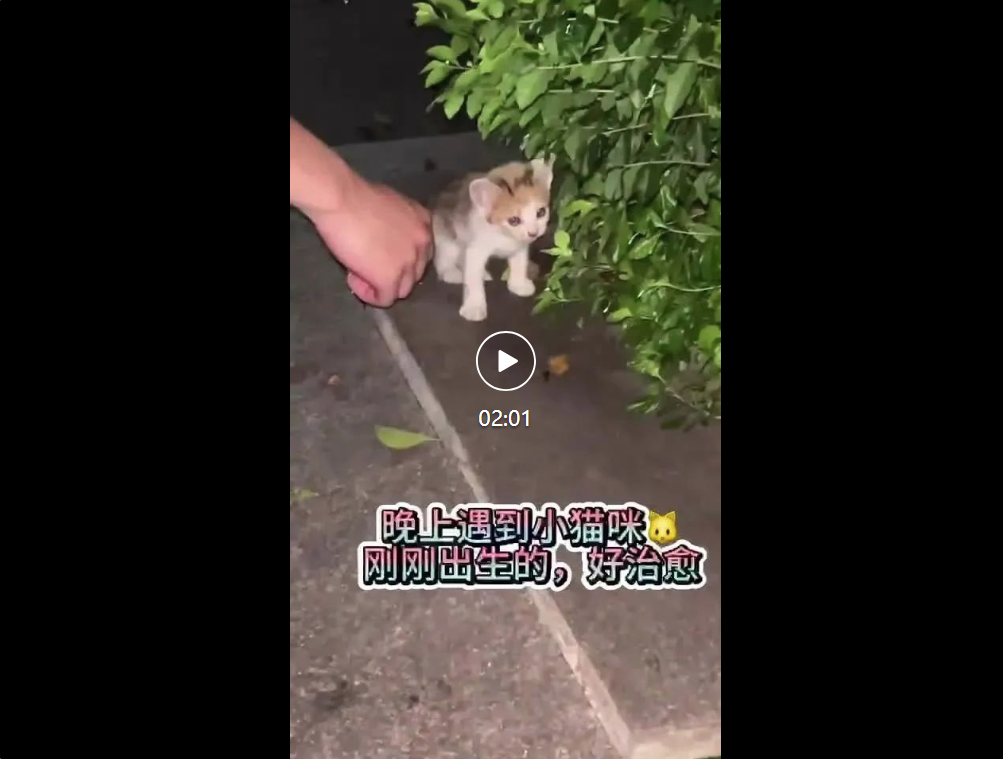 图片4.png